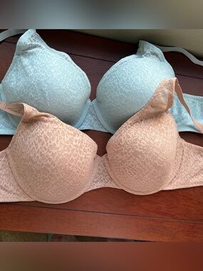 Natori Lace T-Shirt Bra Pair in Light Blue and Nude